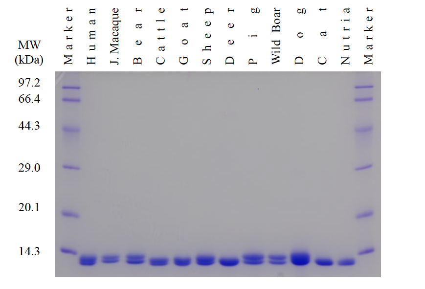 Purification of Hemoglobin from a Variety of Animals using HemogloBind™  & HemoVoid™ in Forensic Analysis